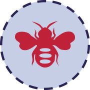 WaspsCauses-4-column_01