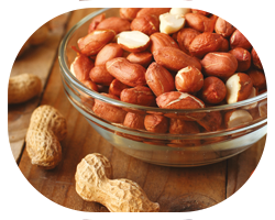 ADULT-causes-NUTS-3-col