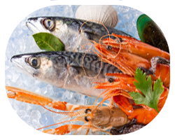 ADULT-causes-FISH-SHELLFISH-3-col