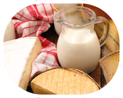ADULT-causes-DAIRY-3-col
